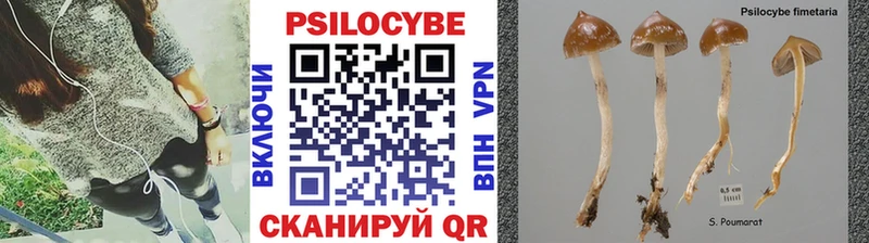 Псилоцибиновые грибы Psilocybe  Агидель 